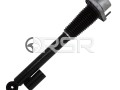 Амортизатор LAND ROVER Discovery Sport 2014+ задний правый/левый